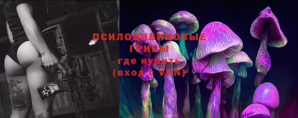 дурь Абдулино
