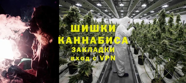 соль ск Абаза