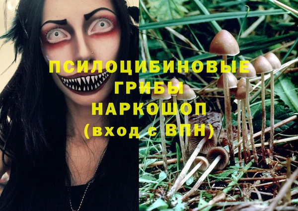 эйфоретик Абинск
