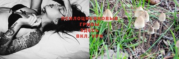 соль ск Абаза