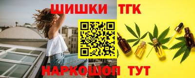 шишки Славгород