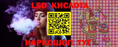 шишки Славгород