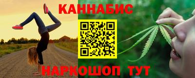 шишки Славгород