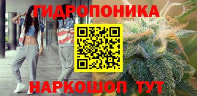 шишки Славгород