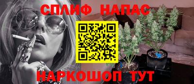 шишки Славгород