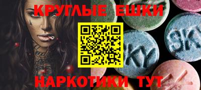 шишки Славгород