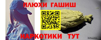 шишки Славгород