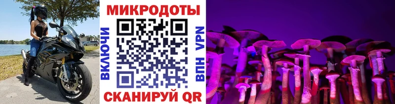 Галлюциногенные грибы Magic Shrooms  Советский 
