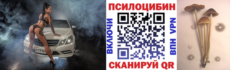 Галлюциногенные грибы GOLDEN TEACHER Советский