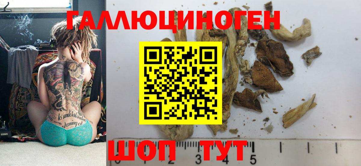 Галлюциногенные грибы Magic Shrooms  Вход с VPN  Советский  Галлюциногенные грибы Cubensis 