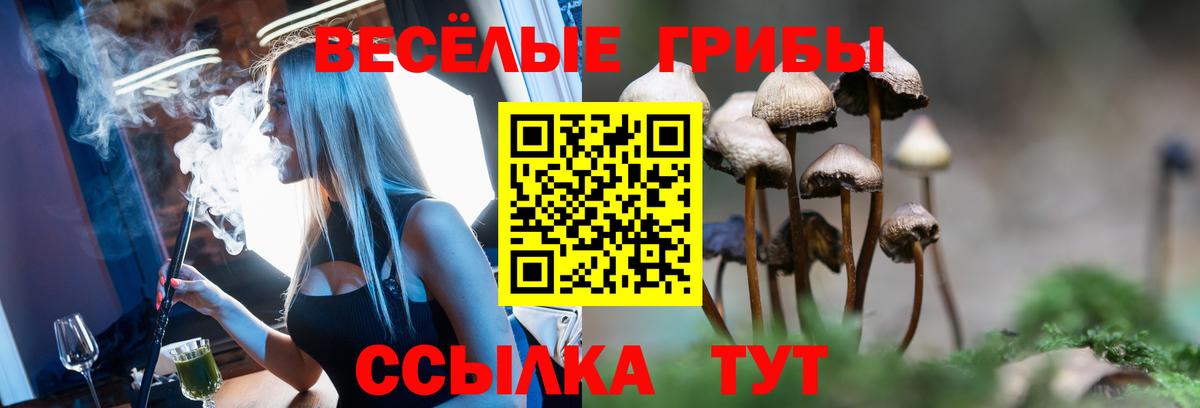 Галлюциногенные грибы MAGIC MUSHROOMS Советский
